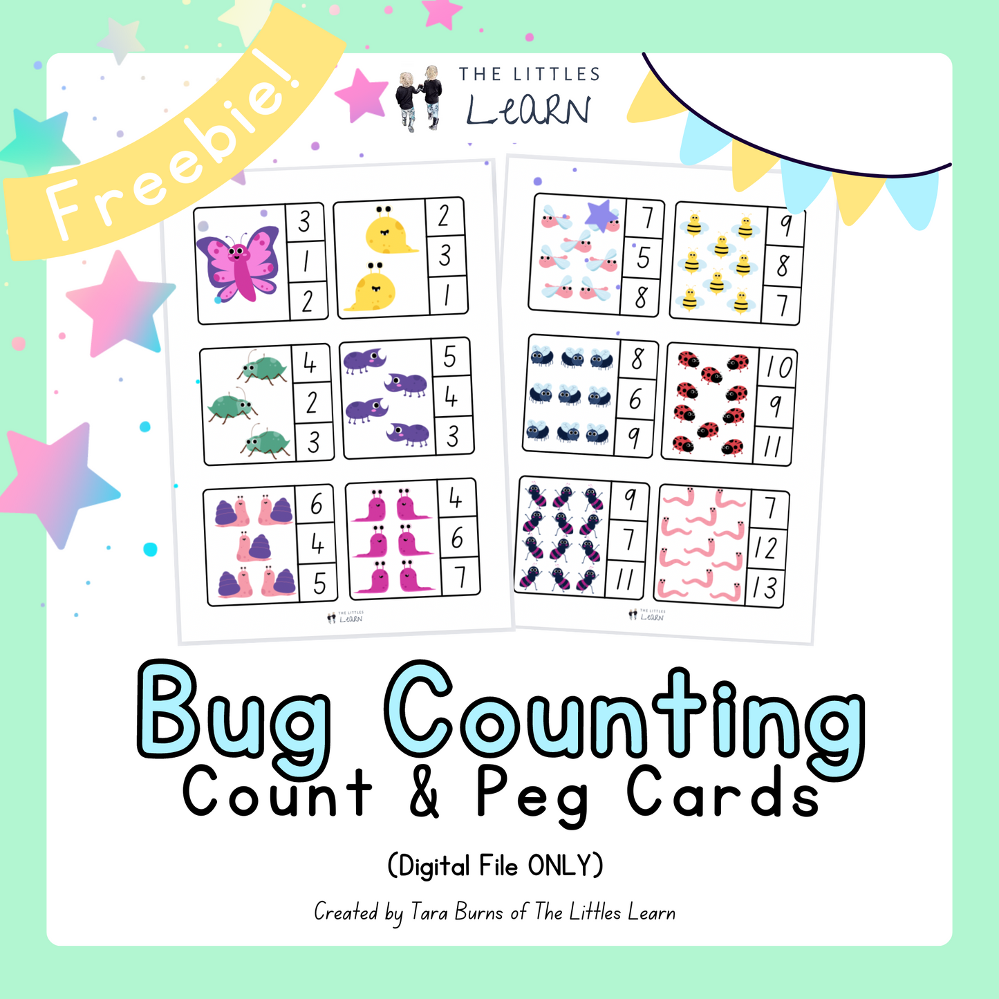 Bug Counting - Count and Peg Cards