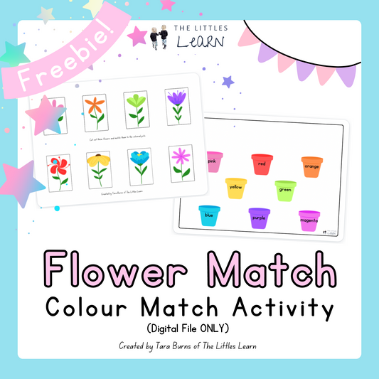 A colourful matching activity matching coloured flowers to their matching pots.