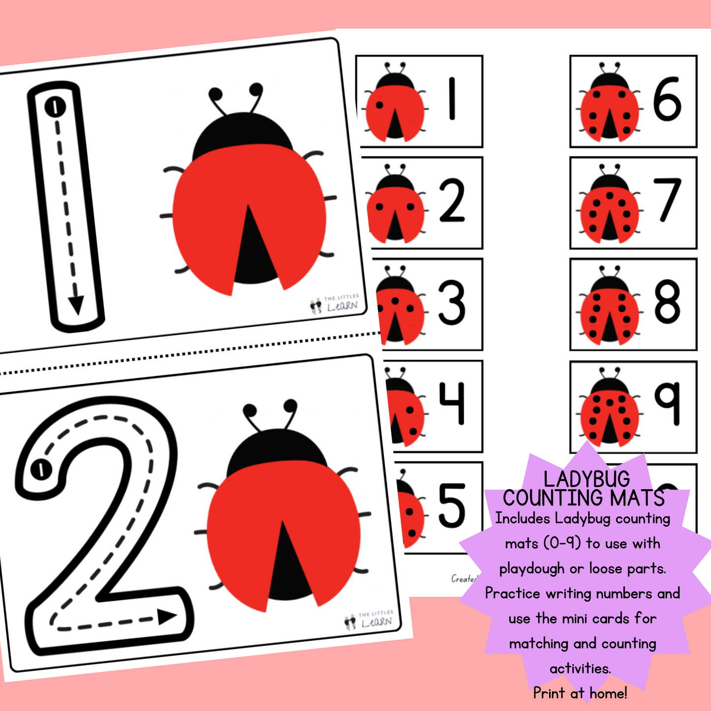 Printable cards with numbers to trace and ladybugs to add spots to.